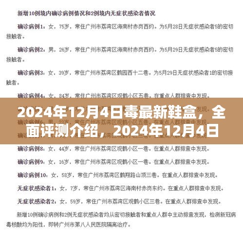 全面评测介绍，2024年毒最新鞋盒特性、体验、竞品对比及用户群体深度分析