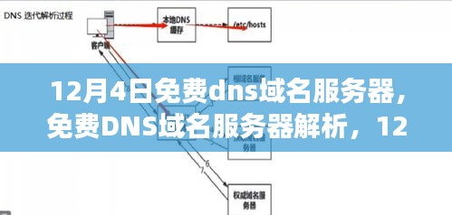 12月4日免费dns域名服务器，免费DNS域名服务器解析，12月4日的深度洞察