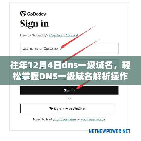 往年12月4日DNS一级域名解析操作实践指南，轻松掌握DNS一级域名的操作技巧