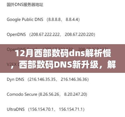 西部数码DNS升级解析加速，科技优化网络体验