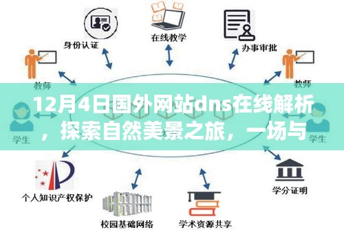 国外网站DNS解析之旅，与自然美景的冒险探索，寻找内心的平和宁静时光