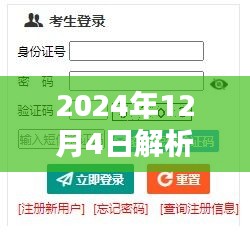 2024年DNS解析响应时间详解，DNS查询响应与解析过程分析