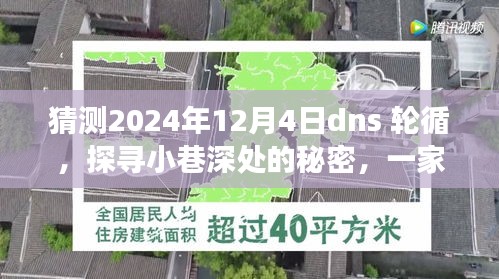 特色小店的DNS轮循之旅，探寻小巷深处的秘密（2024年12月4日）