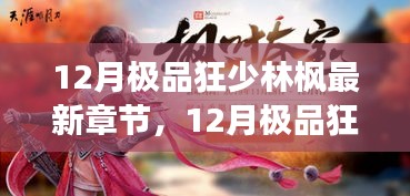 探寻武林巅峰之旅，12月极品狂少林枫最新章节