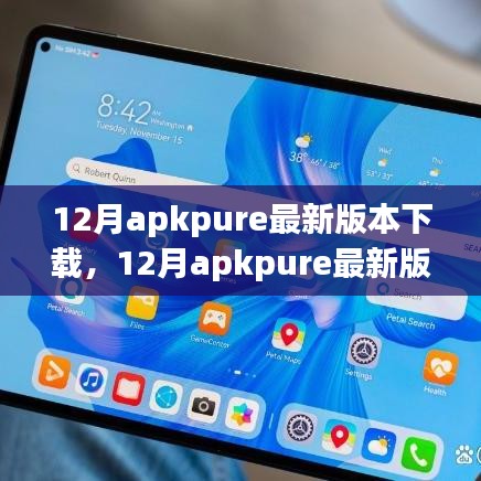 12月apkpure最新版本下载详解，全面评测与介绍