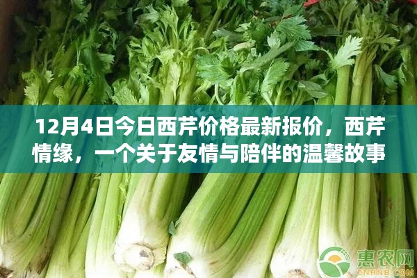 西芹情缘，最新价格背后的友情与陪伴故事