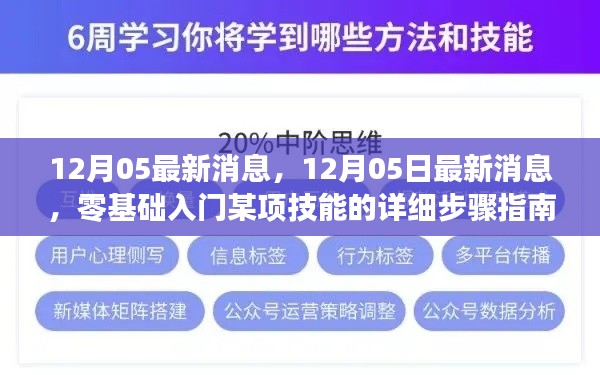 零基础入门技能学习指南，最新详细步骤与技巧分享（12月05日更新消息）