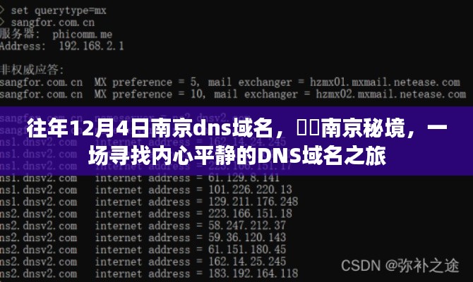 南京秘境，一场寻找内心平静的DNS域名之旅在每年的十二月四日开启