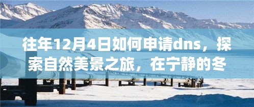 探索自然美景之旅，如何在宁静冬日申请DNS寻找内心平和与宁静的旅程