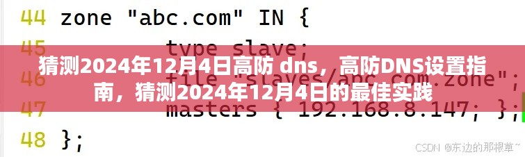 2024年12月4日高防DNS设置指南与最佳实践猜测