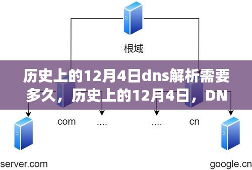 历史上的12月4日DNS解析历程，故事背后的启示与自我成长之路