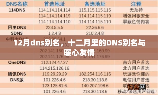 12月DNS别名，暖心友情的网络导航