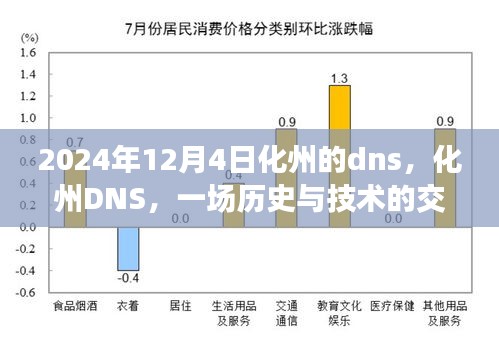 化州DNS的历史技术交汇点，纪念深刻变革的2024年12月4日