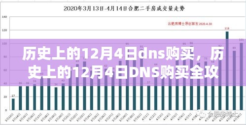 12月4日DNS购买全攻略，从初学者到进阶用户的操作指南