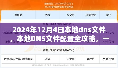 本地DNS文件配置全攻略，设置2024年DNS记录的详细步骤（适合初学者与进阶用户）