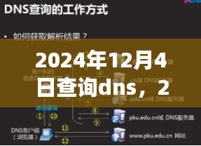 2024年DNS查询深度解析与未来展望