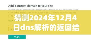 未来DNS解析预测，友情与想象的温馨故事，2024年12月4日的DNS冒险之旅