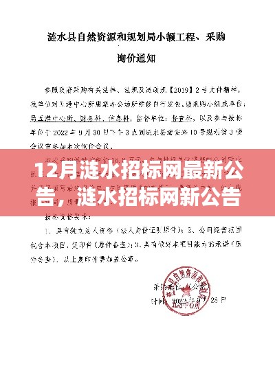 涟水招标网新公告发布，背后的温馨故事揭晓