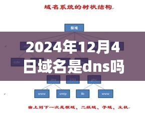 跨越时空的域名之旅，探寻DNS奥秘，学习变化点亮自信之光