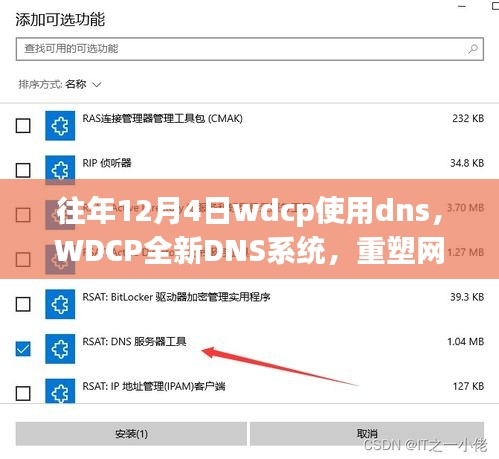 WDCP全新DNS系统重塑网络体验，科技引领未来的选择