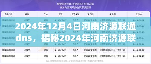 揭秘河南济源联通DNS升级背后的故事，速度与稳定的完美结合，2024年河南济源联通DNS新进展展望