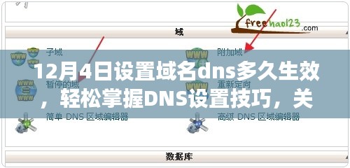 掌握域名DNS设置技巧，生效时间详解与步骤指南（初学者与进阶用户必备）