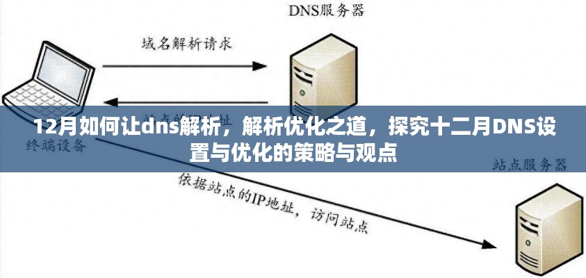 十二月DNS解析与优化策略，设置与观点深度探究