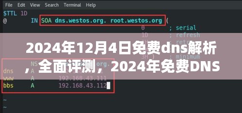 2024年全面评测免费DNS解析服务，深度解析与实用指南