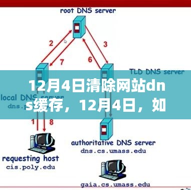 如何有效清除网站DNS缓存以提升网络体验？操作指南（12月4日更新）