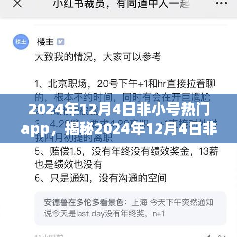 揭秘，2024年12月4日非小号热门APP与小红书潮流之选