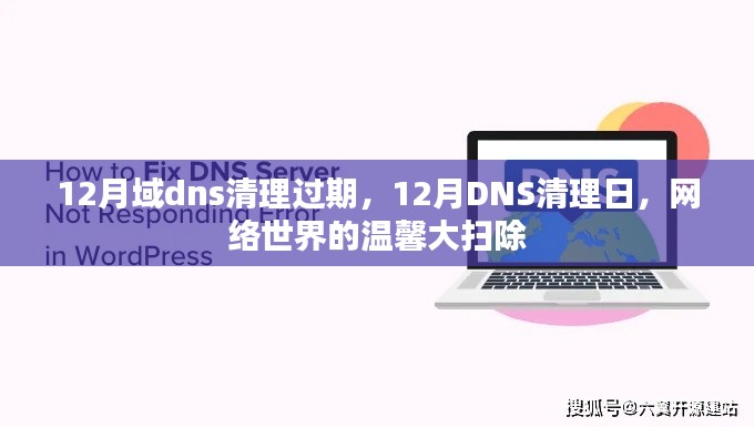 12月DNS清理日，网络世界的温馨大扫除行动