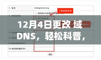 12月4日域名DNS更改指南，轻松科普，一步步教你如何更改域名DNS