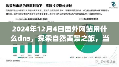 心灵与自然美景之旅，探索未来DNS与探索国外网站的新篇章（2024年12月4日）