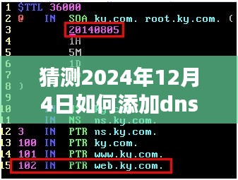 未来技术趋势下的DNS解析记录添加指南，预测2024年12月4日的操作指南与趋势分析