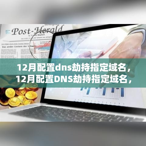 全面评测与介绍，12月配置DNS劫持指定域名的操作指南