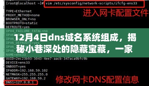 揭秘DNS域名系统，探寻小巷深处的独特小店探秘之旅