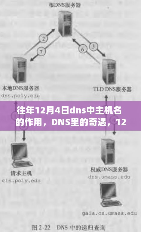 2024年12月6日 第7页