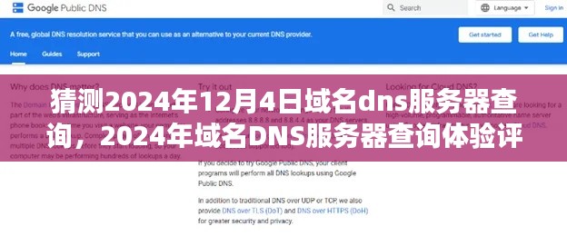 2024年域名DNS服务器查询体验预测与评测