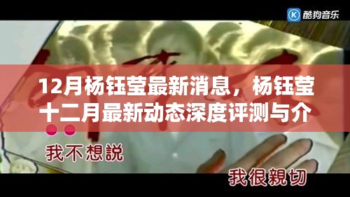 杨钰莹十二月最新动态深度评测与介绍，最新消息一览