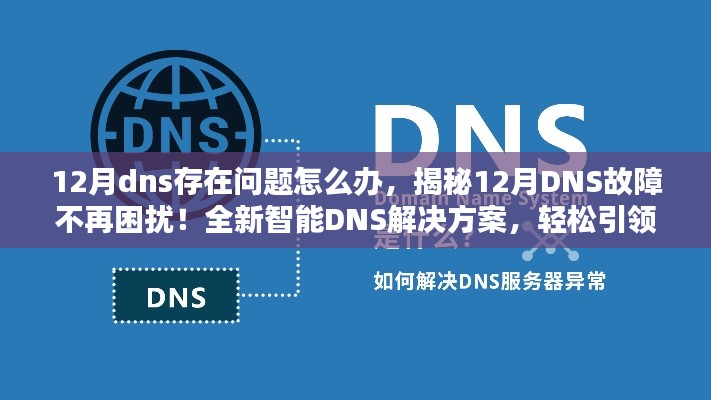 12月dns存在问题怎么办，揭秘12月DNS故障不再困扰！全新智能DNS解决方案，轻松引领科技生活新纪元！