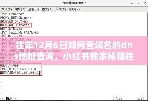 小红书独家秘籍，往年12月6日轻松查询域名DNS地址技巧，细节一网打尽！