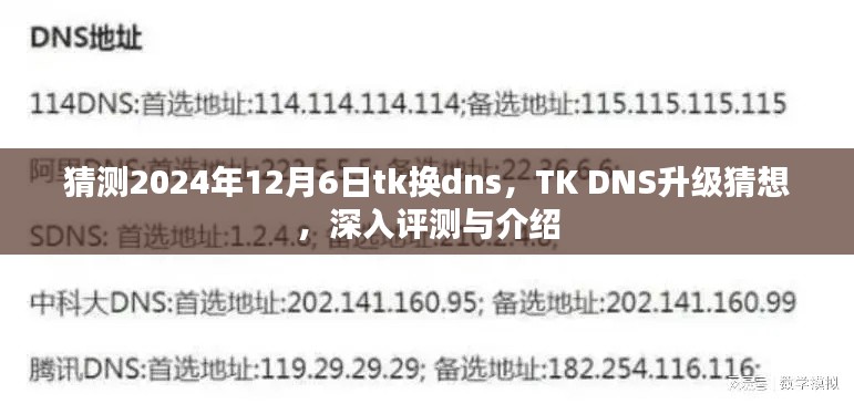 TK DNS升级猜想，深入评测与介绍，预测2024年12月6日的变革