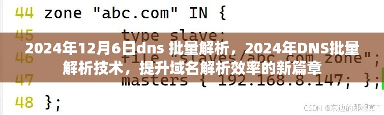 2024年DNS批量解析技术，提升域名解析效率的新篇章