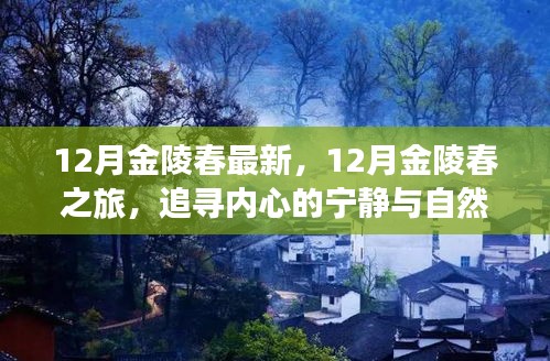 12月金陵春之旅，探寻内心宁静与自然笑声的旅程