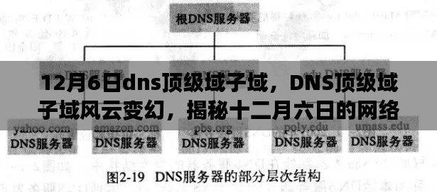 揭秘DNS顶级域子域风云变幻，十二月六日的网络时代印记