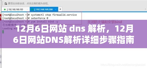 12月6日网站 dns 解析，12月6日网站DNS解析详细步骤指南