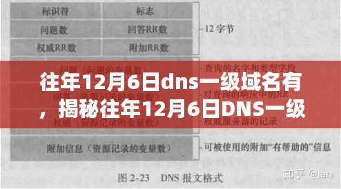 揭秘，历年12月6日DNS一级域名的变迁与观察