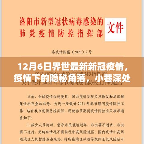 全球最新疫情动态，隐秘角落的小巷特色小店与疫情进展关注