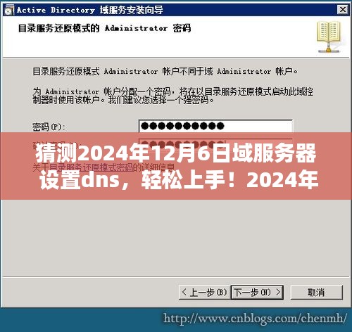 2024年域服务器DNS设置指南，轻松上手，详细步骤一览