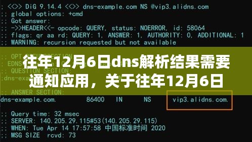 往年12月6日DNS解析结果通知应用，深度解析与通知的重要性